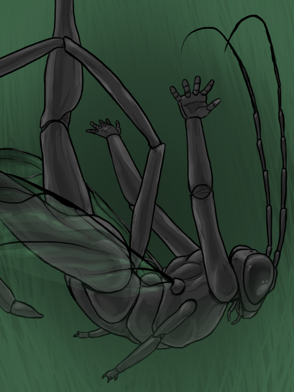2016 3_fingers 4_arms 5_fingers abc_insects abdomen ambiguous_gender anatomically_correct antennae anthro arms_above_head arthropod athletic black_eyes black_skin compound_eyes digital_media_(artwork) digital_painting_(artwork) exoskeleton falling flat_chested gradient_background green_background hands_behind_back insect insect_wings looking_down mandibles multi_arm multi_limb nude pelecinid_wasp portrait raised_leg shiny side_view simple_background skelebee solo three-quarter_portrait wasp wings