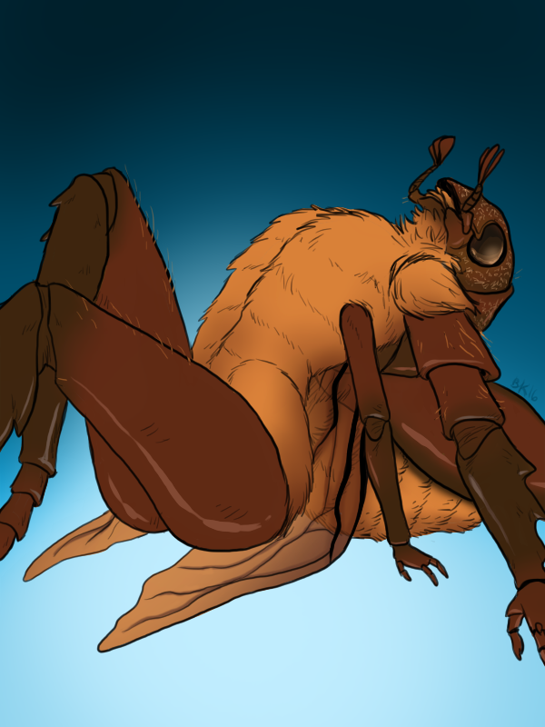 2016 3_fingers 4_arms abc_insects abdomen ambiguous_gender anatomically_correct antennae anthro arm_support arthropod athletic beetle black_eyes blue_background brown_countershading brown_skin brown_wings butt compound_eyes countershade_torso countershading digital_media_(artwork) digital_painting_(artwork) digitigrade exoskeleton flat_chested front_view gradient_background insect insect_wings looking_away looking_up mandibles multi_arm multi_limb nude ox_beetle portrait pose reclining shiny simple_background sitting skelebee solo three-quarter_portrait wings