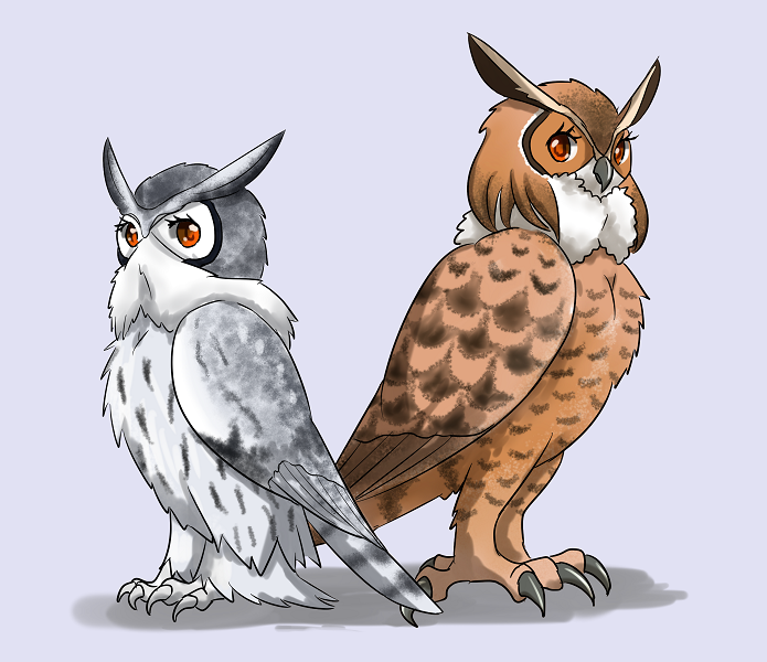 alternate_species avian beak bird black_feathers black_wings brown_feathers brown_wings digital_media_(artwork) duo eurasian_eagle_owl eurasian_eagle_owl_(kemono_friends) eyelashes feathers female feral full-length_portrait furrification grey_beak grey_feathers grey_wings kemono kemono_friends looking_at_viewer multicolored_feathers multicolored_wings northern_white-faced_owl northern_white-faced_owl_(kemono_friends) owl portrait raya_(artist) shadow side_view simple_background standing talons white_feathers white_wings wings