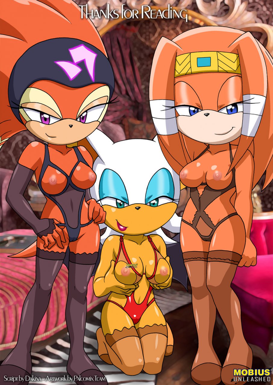 bbmbbf palcomix rouge_the_bat shade_the_echidna sonic_team tikal_the_echidna