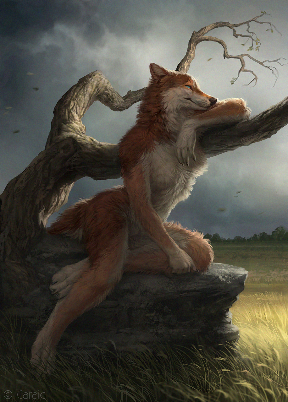 4_toes anthro black_nose canine caraid day detailed_background digitigrade female fox grass mammal nude outside rock sitting sky solo toes tree