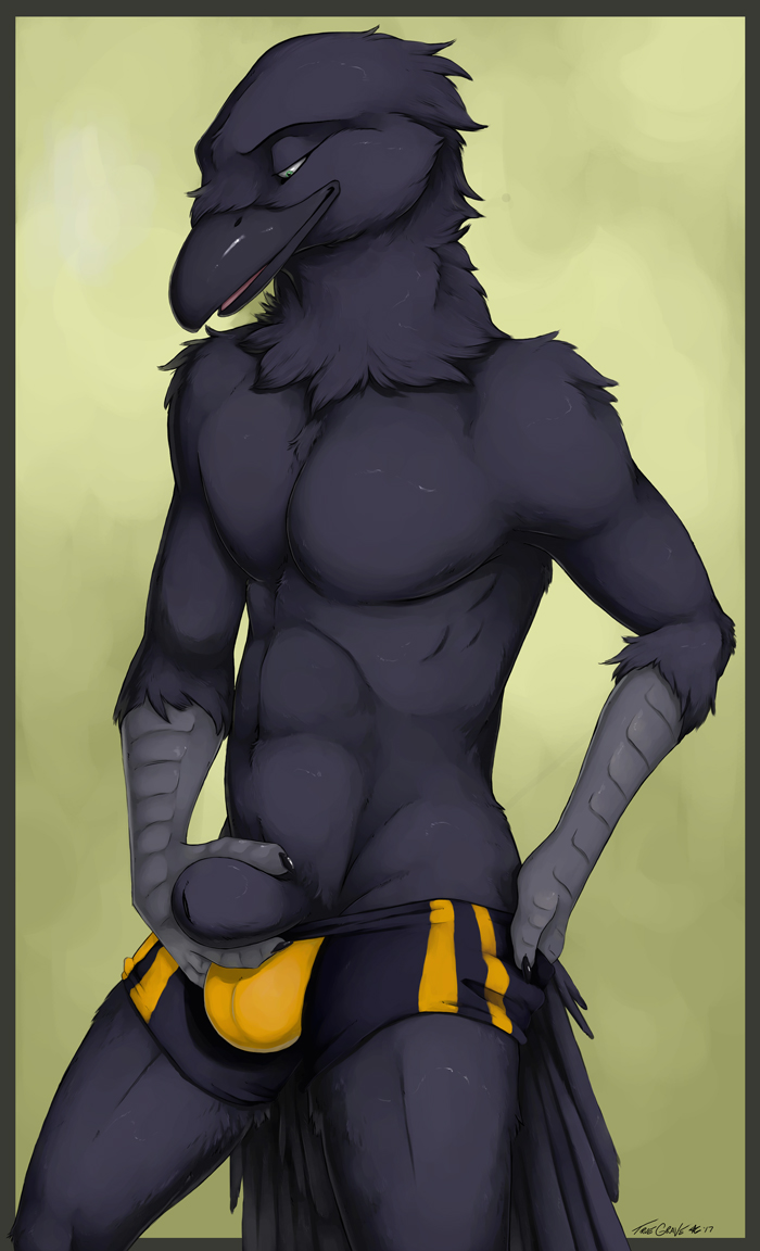 2017 5_fingers abs animal_genitalia anthro avian balls bird black_feathers bulge clothing corvid feathers flaccid green_eyes holding_sheath looking_down male muscular penis raven removing_clothing sheath simple_background solo standing tight_underwear truegrave9 underwear