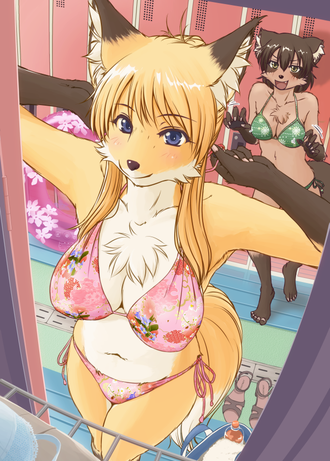 2017 5_finger 5_toes anthro bikini blonde_hair blue_eyes breasts brown_fur canine cheek_tuft chest_tuft clothing duo female foreshortening fox fur gloves_(marking) hair inner_ear_fluff inside kemono locker_room mammal markings navel nipple_bulge orange_fur raccoon sneaking socks_(marking) standing swimsuit tan_fur toes tuft yosuke7390