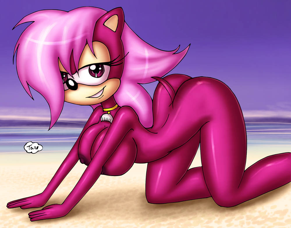 innocenttazlet sonia_the_hedgehog sonic_team sonic_underground tagme