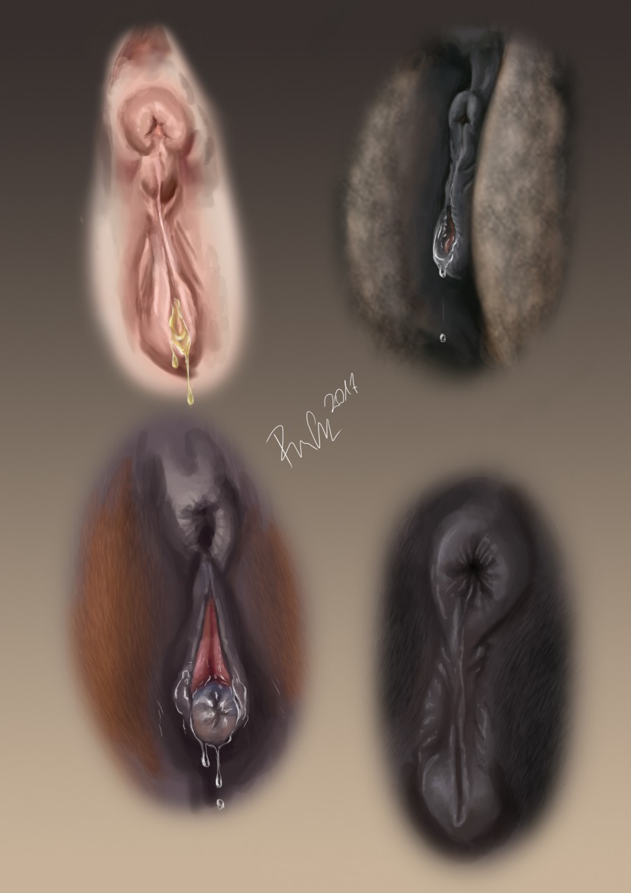 2017 anatomically_correct anatomically_correct_anus anatomically_correct_pussy animal_genitalia animal_pussy anus black_anus black_fur black_pussy brown_fur butt clitoral_winking clitoris crotch_shot digital_media_(artwork) equine equine_pussy faceless_female female feral fur gradient_background group hi_res horse mammal multiple_images puffy_anus pussy pussy_juice rufciu signature simple_background urine