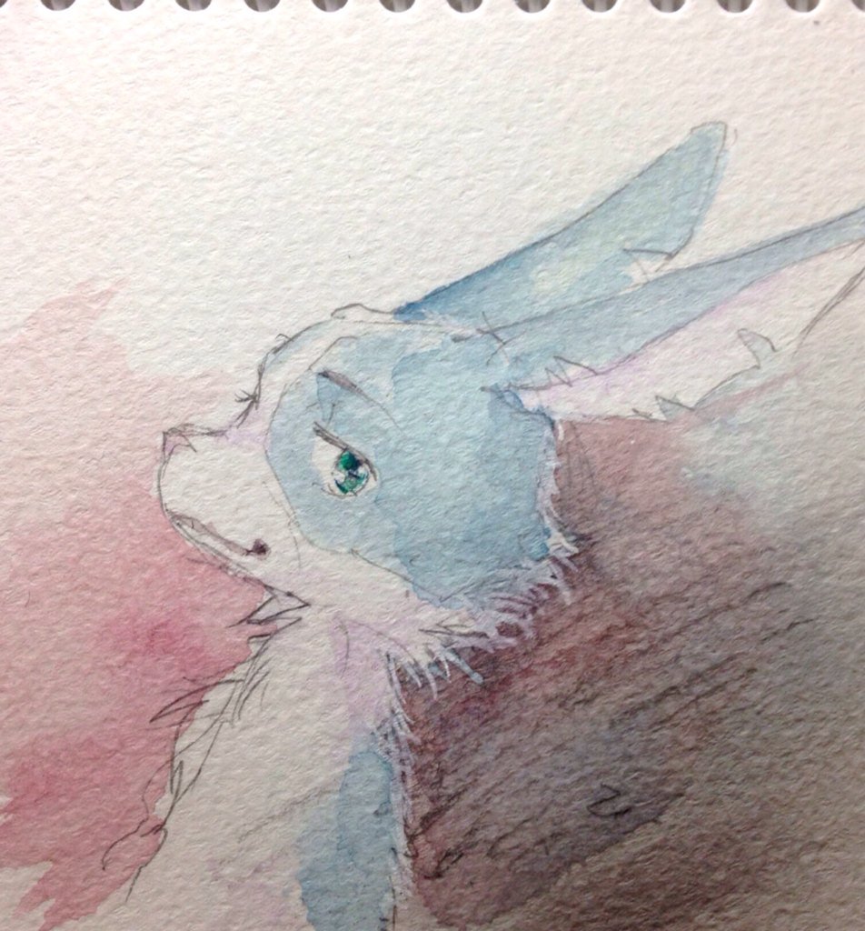 blue_fur fur happy_happy_clover lagomorph looking_at_viewer male mammal official_art rabbit rambler sayuri_tatsuyama sketch smile solo tabi-usagi-san traditional_media_(artwork) watercolor_(artwork) white_fur