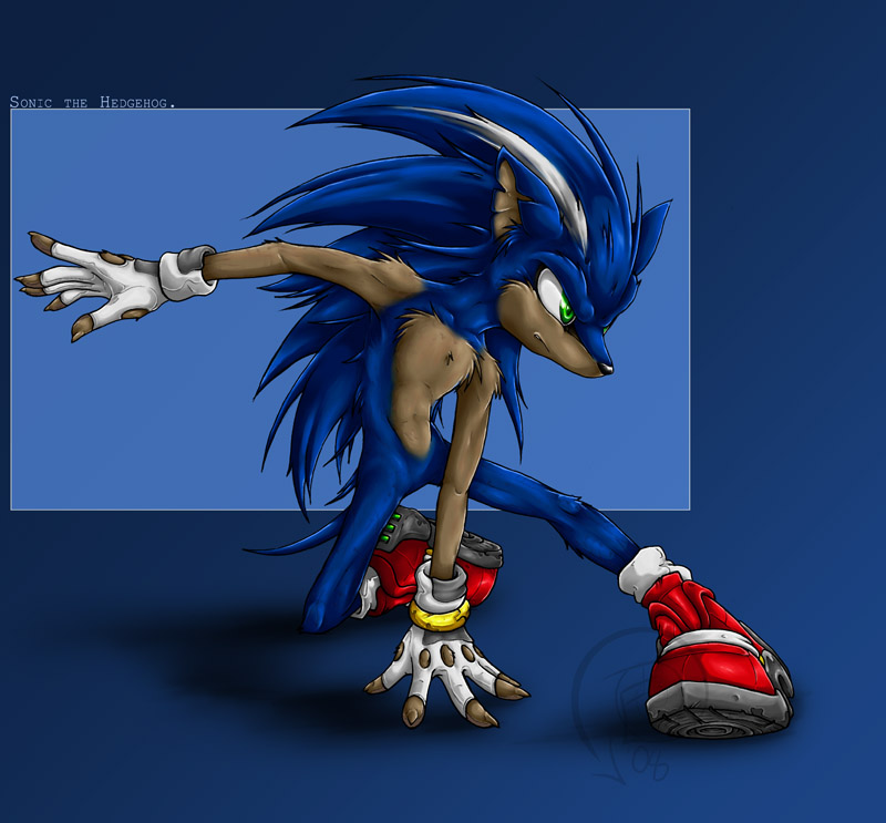 anthro anthrofied anthroified blue_fur brown_fur clothing footwear fur gloves green_eyes hedgehog mammal shoes sonic_(series) sonic_the_hedgehog swirlything two_tone-fur white_fur young_adult