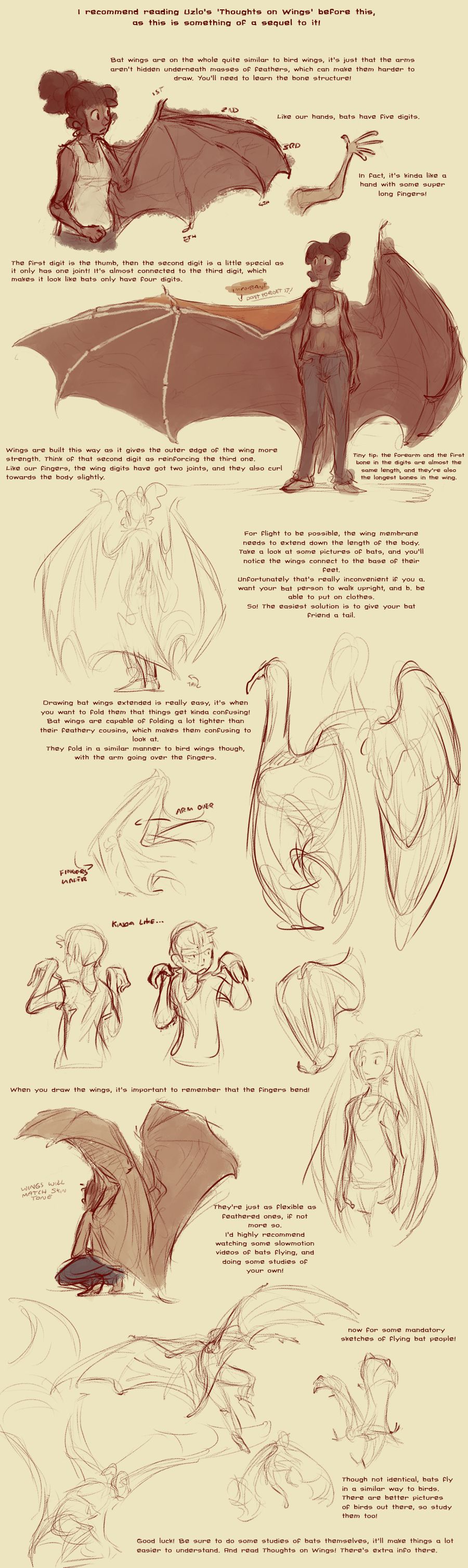 absurd_res bat_wings big_wings bone bra brown_skin clothing english_text female harrie hi_res homologous_structure how-to human jeans mammal membranous_wings overlayed_features pants skeleton sketch text the_more_you_know underwear winged_arms wings