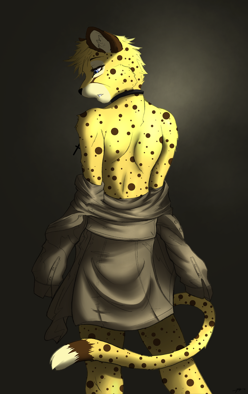 2012 anthro black_nose blonde_hair blue_eyes brown_fur brown_markings brown_spots brown_tail cheetah clothed clothing coat cross digital_media_(artwork) facial_markings feline fur grey_background grey_clothing grey_topwear hair hi_res male mammal markings mirapony multicolored_fur multicolored_tail partially_clothed pendant portrait rear_view salem_(stripes) short_hair signature simple_background solo spots spotted_fur spotted_tail standing three-quarter_portrait undressing white_fur white_tail yellow_fur yellow_tail