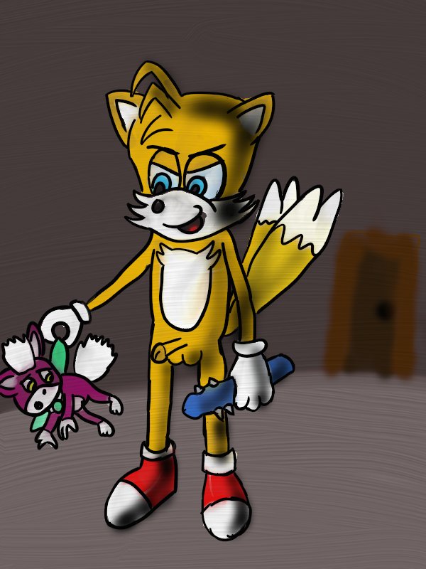 chip light_gaia sonic_team sonic_unleashed tails