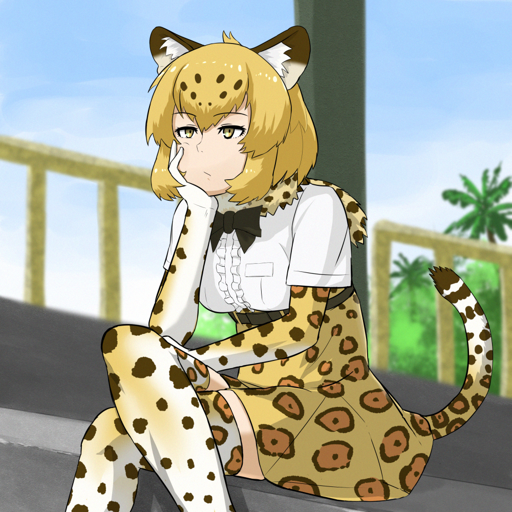 :/ animal_ears belt black_bow blonde_hair blurry bored bow breasts brown_hair center_frills chin_rest closed_mouth commentary_request crossed_legs day depth_of_field elbow_gloves eyebrows_visible_through_hair fur_collar gloves high-waist_skirt ichinose_rokujou jaguar_(kemono_friends) jaguar_ears jaguar_print jaguar_tail kemono_friends medium_breasts multicolored multicolored_clothes multicolored_hair multicolored_legwear outdoors palm_tree railing shirt short_sleeves skirt sky solo tail thighhighs tree two-tone_hair white_shirt yellow_eyes