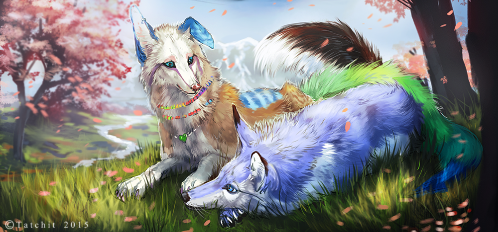 2015 ambiguous_gender blue_eyes blue_fur canine day detailed_background duo feral fox fur grass lying mammal outside tan_fur tatchit white_fur