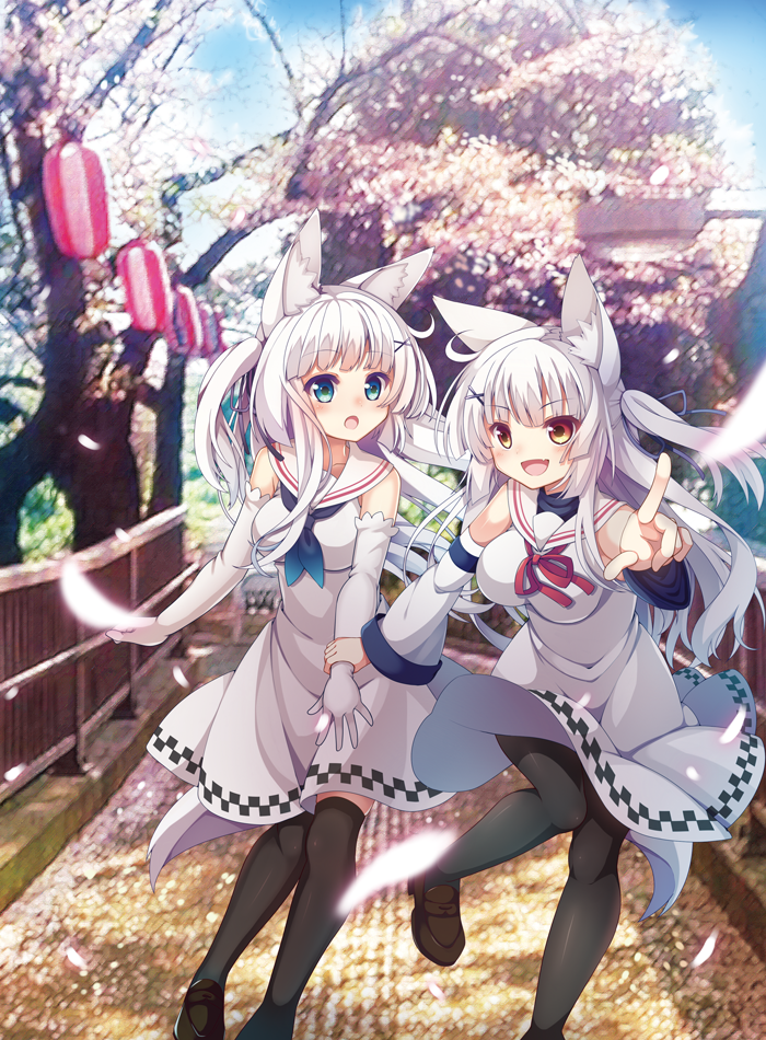 animal_ears blue_eyes day detached_sleeves dress elbow_gloves fang fox_ears fox_tail gloves long_hair looking_at_another multiple_girls one_side_up open_mouth original outdoors over-kneehighs pantyhose petals red_eyes tail thighhighs white_dress white_hair yatsuki_yura