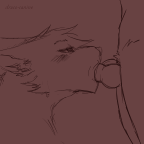 2018 2d_animation ambiguous_gender animated canine draco-canine knot loop male male/ambiguous mammal oral penis simple_background solo_focus tongue tongue_out