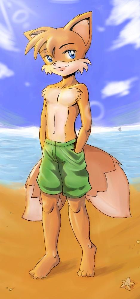 battle_angel beach blue_eyes boat clothed clothing male marine miles_prower seaside solo sonic_(series) starfish vehicle