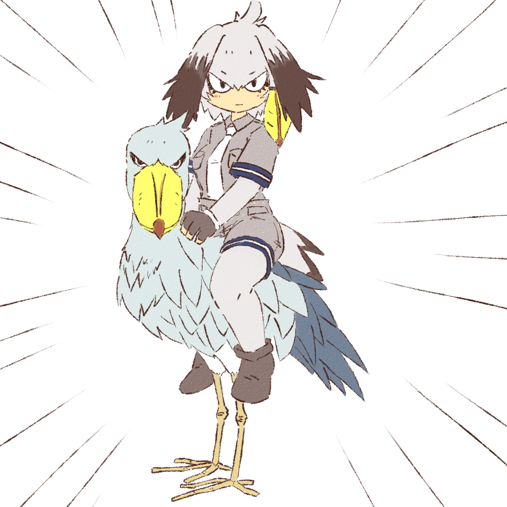 bangs bird bird_tail commentary_request emphasis_lines fingerless_gloves gloves grey_hair grey_shirt grey_shorts head_wings kemono_friends looking_at_viewer low_ponytail multicolored_hair necktie niwma_(myriad_revery) pantyhose riding shirt shoebill shoebill_(kemono_friends) shorts side_ponytail simple_background solo staring white_background white_neckwear