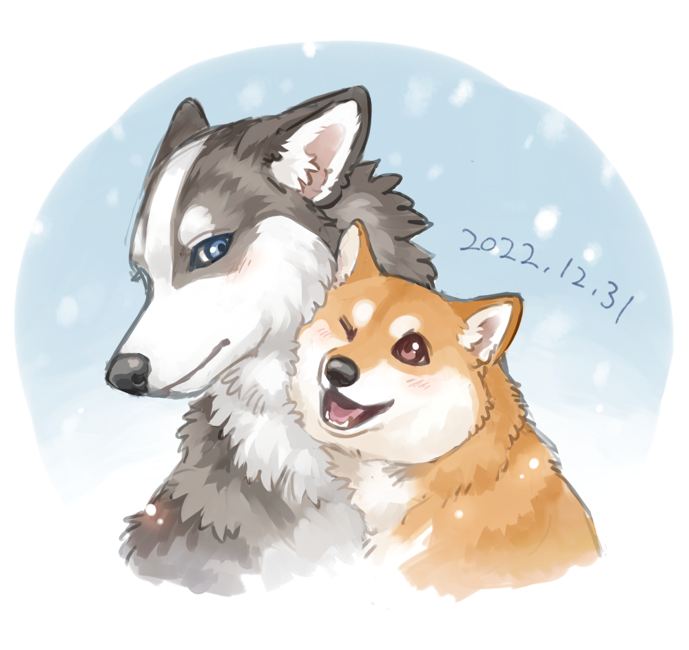 2022 ayaka blush canid canine canis countershading dated domestic_dog duo fangs female_(lore) feral fluffy fur grey_body grey_fur headshot_portrait husky kyappy looking_at_another male_(lore) mammal nordic_sled_dog nuzzling orange_body orange_fur portrait shiba_inu shibeta siberian_husky simple_background size_difference smile snow spitz teeth text white_body white_fur
