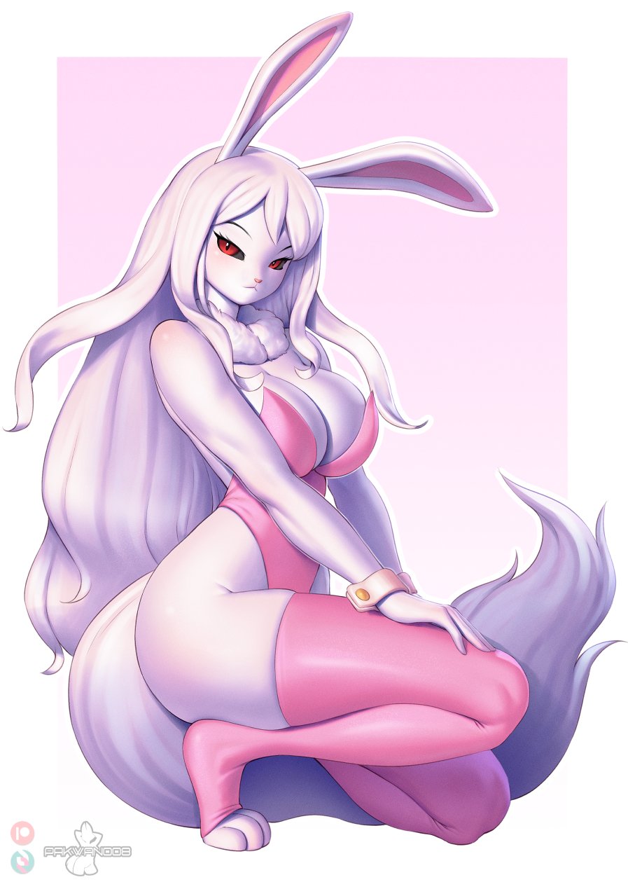 2024 anthro big_breasts black_sclera bow_tie breasts carrot_(one_piece) clothing collarbone eyebrows eyelashes feet female fur hair hand_on_leg hand_on_thigh hi_res kneeling lagomorph legwear leotard leporid long_hair looking_at_viewer mammal minkmen_(one_piece) one_piece open_mouth open_smile pakwan008 pink_bow_tie pink_clothing pink_legwear pink_leotard rabbit red_eyes shirt_collar shirt_cuffs short_hair smile solo sulong_carrot toeless_legwear white_body white_fur white_hair