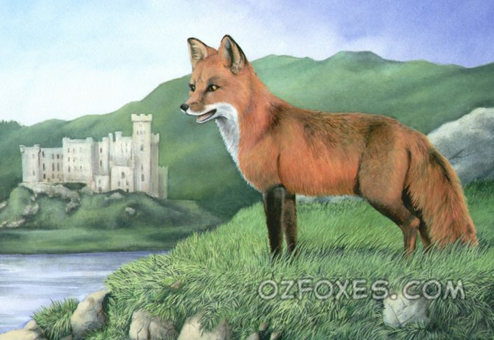 2003 black_nose canine castle feral fox fur mammal mcarspec open_mouth orange_fur outside solo