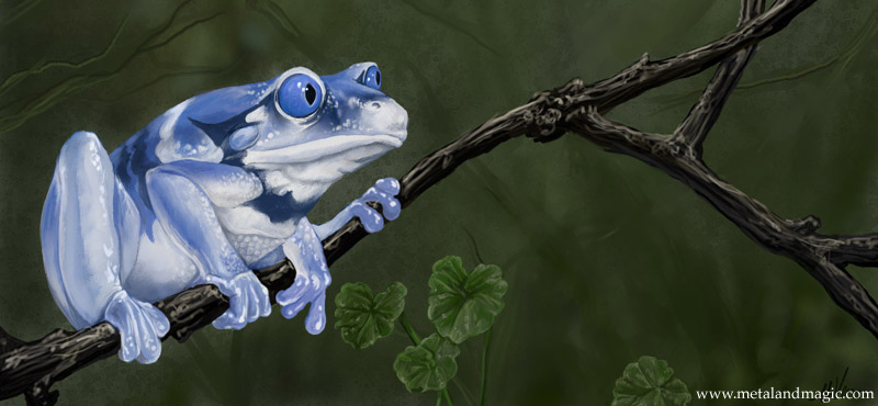 ambiguous_gender amphibian blue_eyes branch feral frog leaf solo tree ursula_vernon wood