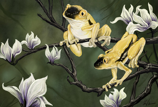 ambiguous_gender amphibian duo feral flower frog magnolia plant tree ursula_vernon yellow_eyes