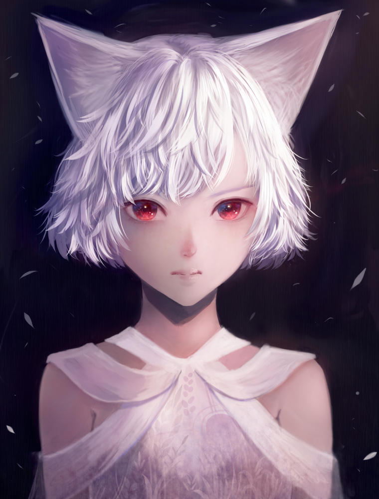 animal_ears bangs blue_background cat_ears closed_mouth commentary_request dress looking_at_viewer original red_eyes sakimori_(hououbds) short_hair solo wavy_hair white_dress