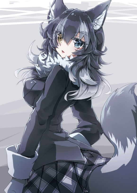 animal_ears bangs black_hair black_shirt black_skirt blue_eyes blush breast_pocket commentary_request covered_nipples cowboy_shot error eyebrows_visible_through_hair eyes_visible_through_hair from_behind fur_collar gloves gradient gradient_background gradient_hair grey_background grey_hair grey_skirt grey_wolf_(kemono_friends) hair_between_eyes hand_on_hip harlekin heterochromia impossible_clothes impossible_shirt kemono_friends long_sleeves looking_at_viewer looking_to_the_side multicolored_hair parted_lips pink_lips plaid plaid_skirt pocket reflective_eyes shiny shiny_hair shirt sidelocks silver_hair skirt solo tail two-tone_hair uneven_eyes white_gloves wolf_ears wolf_tail yellow_eyes