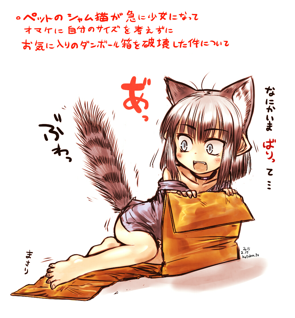 animal_ears bangs bare_legs barefoot belt_collar blue_eyes blush box cardboard_box cat_ears cat_girl cat_tail choker dated extra_ears eyebrows_visible_through_hair grey_hair grey_shirt kotoba_noriaki looking_away looking_to_the_side off_shoulder open_mouth original partially_translated scared shirt signature slit_pupils solo striped_tail tail tail_raised translation_request