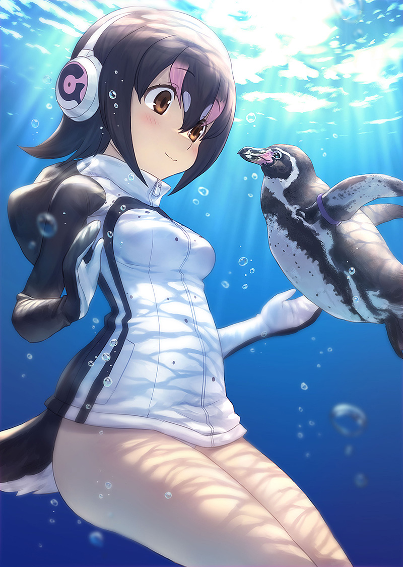 air_bubble animal bird bird_tail black_hair blue_eyes blush breasts brown_eyes bubble closed_mouth commentary cowboy_shot day eye_contact grape-kun guchico hair_between_eyes headphones hood hood_down hooded_jacket humboldt_penguin humboldt_penguin_(kemono_friends) jacket kemono_friends light_rays long_sleeves looking_at_another multicolored_hair outdoors penguin pink_hair short_hair small_breasts smile streaked_hair submerged sunbeam sunlight tail tareme thighs underwater water white_hair white_jacket zipper