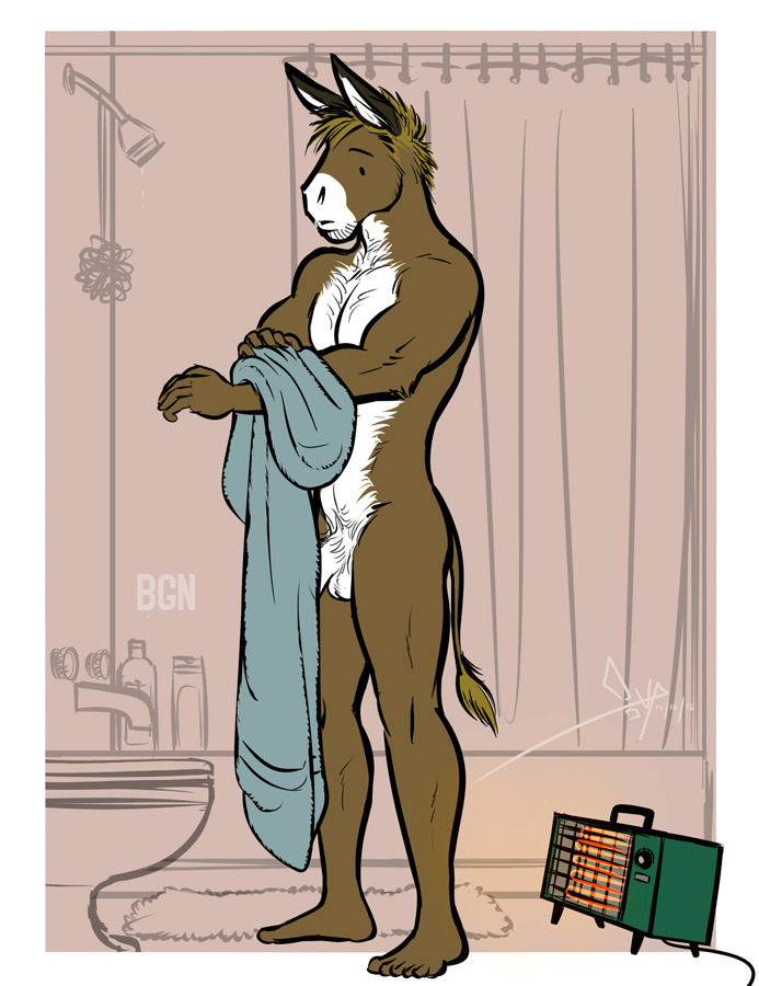 balls bgn brown_fur brown_hair donkey equine fur hair haw heater male mammal penis towel