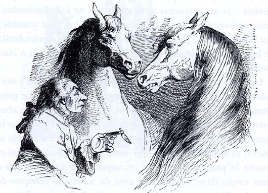 1856 19th_century ambiguous_gender black_and_white clothed clothing equine feral group gulliver's_travels horse houyhnhnm human jean-jacques_grandville lemuel_gulliver license_info looking_at_another low_res male mammal monochrome proper_art public_domain traditional_media_(artwork) vein