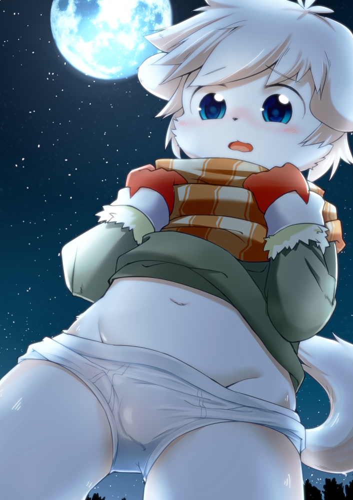 anthro blue_eyes blush briefs bulge canine child clothed clothing clothing_lift cub dog fur gloves male mammal moon navel outside panashe public scarf shirt shirt_lift sky solo standing star summon_night tan_fur tighty_whities underwear young とろろうどん