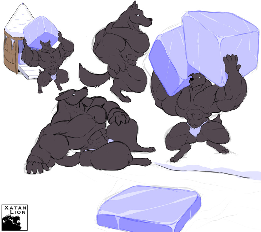 big_abs big_pecs canine clothing fundoshi huge_muscles ice ice_cube ice_wolf_(undertale) japanese_clothing mammal muscular muscular_arms muscular_legs pecs sixpack small_head thick_arms thick_neck thick_thighs topheavy undertale underwear video_games water wide_shoulders wolf xatanlion