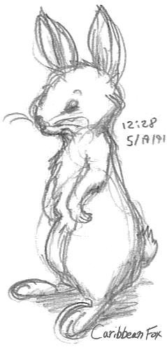 1991 ambiguous_gender caribbean_fox feral lagomorph mammal monochrome rabbit