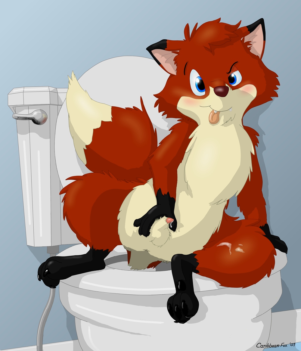 2007 anus balls bathroom blush canine caribbean_fox cute_fangs fox looking_at_viewer male mammal penis toilet tongue tongue_out