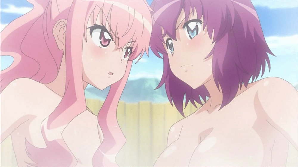 2girls animated animated_gif bath blush bouncing_breasts breasts flat_chest hair_censor hair_over_breasts henrietta_de_tristain large_breasts long_hair louise_francoise_le_blanc_de_la_valliere multiple_girls nude pink_hair purple_hair short_hair zero_no_tsukaima
