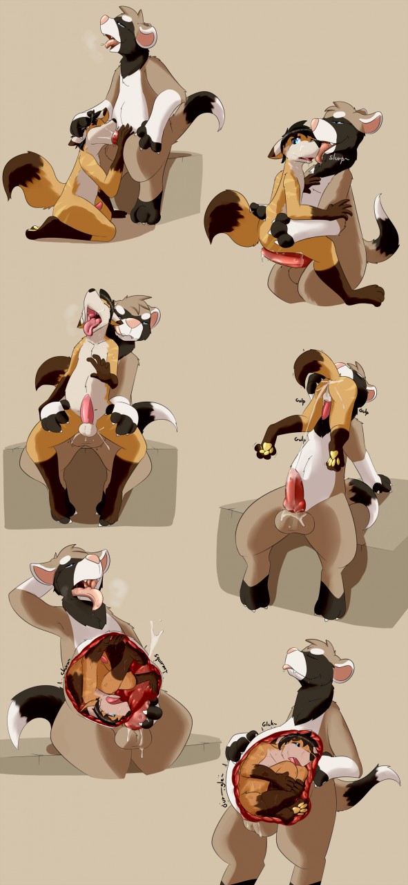 anal anal_penetration canine comic diorexity ferret internal male male/male mammal mustelid open_mouth oral oral_vore penetration simple_background slightly_chubby tongue tongue_out vore wolf