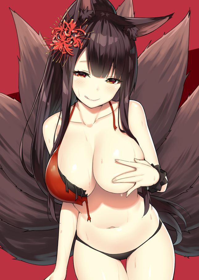 :q akagi_(azur_lane) animal_ears azur_lane bangs breasts closed_mouth collarbone covering covering_breasts cowboy_shot eyebrows_visible_through_hair flower fox_ears fox_tail hair_flower hair_ornament half-closed_eyes kitsune large_breasts licking_lips long_hair looking_at_viewer navel panties red_flower sky_(freedom) smile solo spider_lily swimsuit tail tongue tongue_out underwear