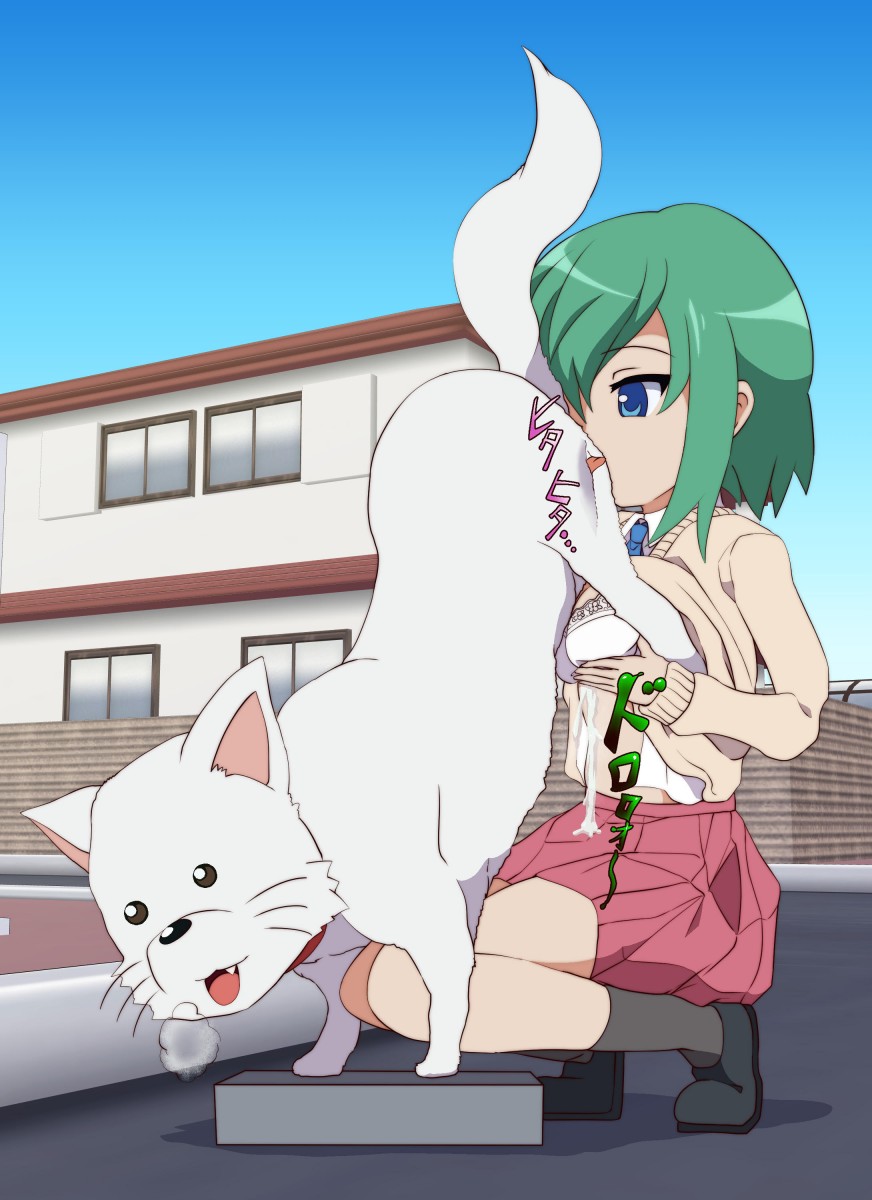 bestiality blue_eyes blush bra breasts cum cum_on_clothes dog ejaculation green_hair iwasaki_minami large_breasts lucky_star paizuri rimjob shirt_lift underwear uwa~a white_bra