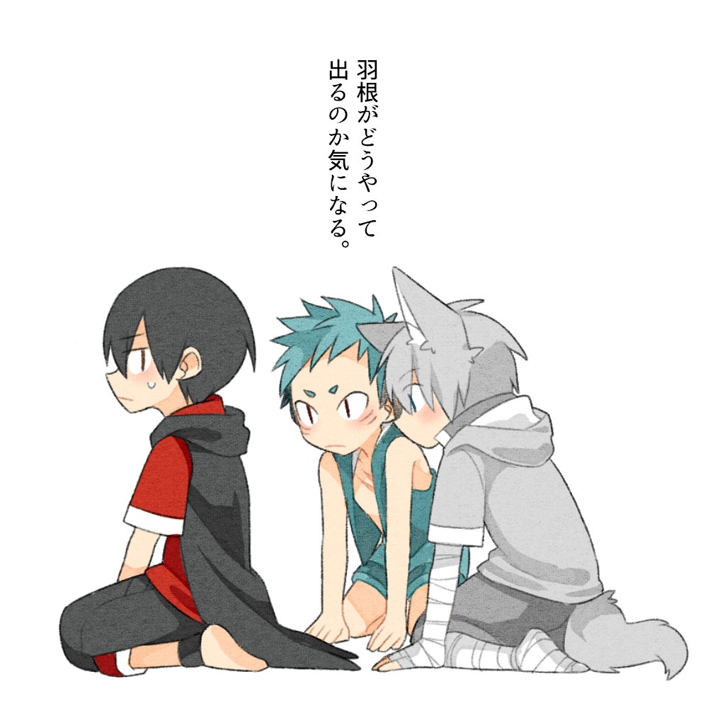 animal_ears ankleband aqua_hair aqua_hoodie aqua_shorts bandaged_arm bandaged_leg bandages barefoot bird black_ankleband black_hair black_hoodie black_shorts blue_eyes blush chest_scar closed_mouth commentary_request eyebrows_visible_through_hair facial_mark gills grey_hoodie grey_shorts hood hood_down hoodie male_focus multiple_boys no_wings original pointy_ears red_eyes red_shirt scar seiza shark shirt short_sleeves shorts silver_hair sitting sleeveless sleeveless_hoodie slit_pupils staring swallow sweat sweatshirt tail touyama_(t3yama2) translation_request wolf wolf_ears wolf_tail yellow_eyes