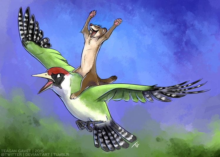 avian beak bird blackteagan chest_tuft dipstick_tail eyes_closed fangs feathered_wings feathers flying looking_back mammal multicolored_tail mustelid open_mouth open_smile pawpads raised_arm riding semi-anthro sky smile tail_feathers tongue tuft weasel whiskers wings woodpecker