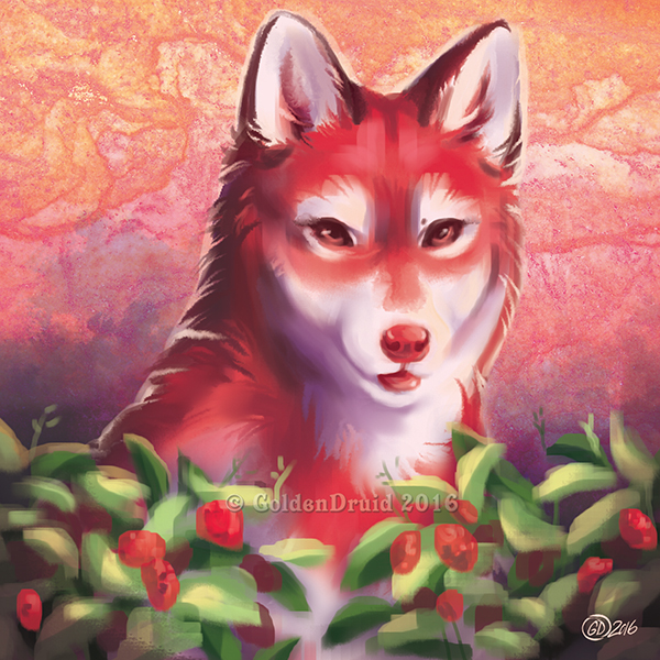 2016 canine digital_media_(artwork) dog food fruit fur goldendruid husky mammal red_eyes red_fur red_nose strawberry