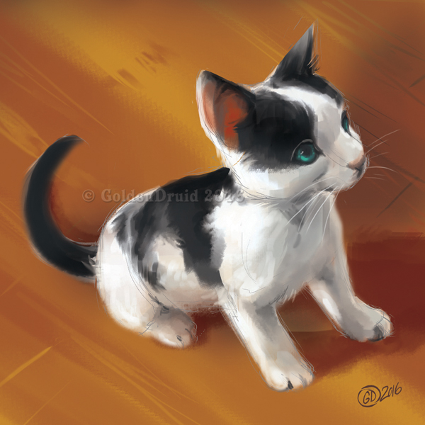 2016 ambiguous_gender black_fur cat digital_media_(artwork) digital_painting_(artwork) feline feral fur goldendruid mammal paws solo watermark white_fur