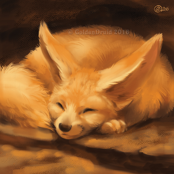 2016 canine fennec feral fox fur goldendruid mammal sleeping smile solo tan_fur
