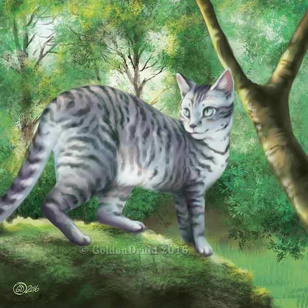 2016 cat day detailed_background feline feral fur goldendruid green_eyes grey_fur mammal outside paws solo tree