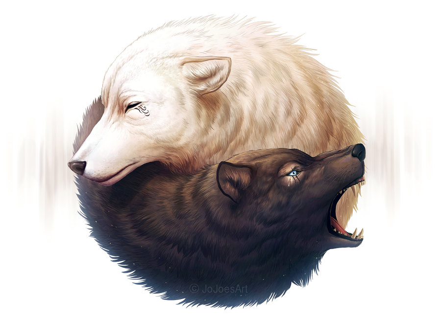 ambiguous_gender black_fur blue_eyes canine duo eyes_closed fangs feral fur jojoesart mammal open_mouth side_view simple_background snarling white_background white_fur wolf yin_yang