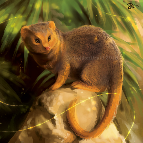 2016 brown_fur detailed_background fur goldendruid herpestid mammal mongoose rock standing yellow_eyes