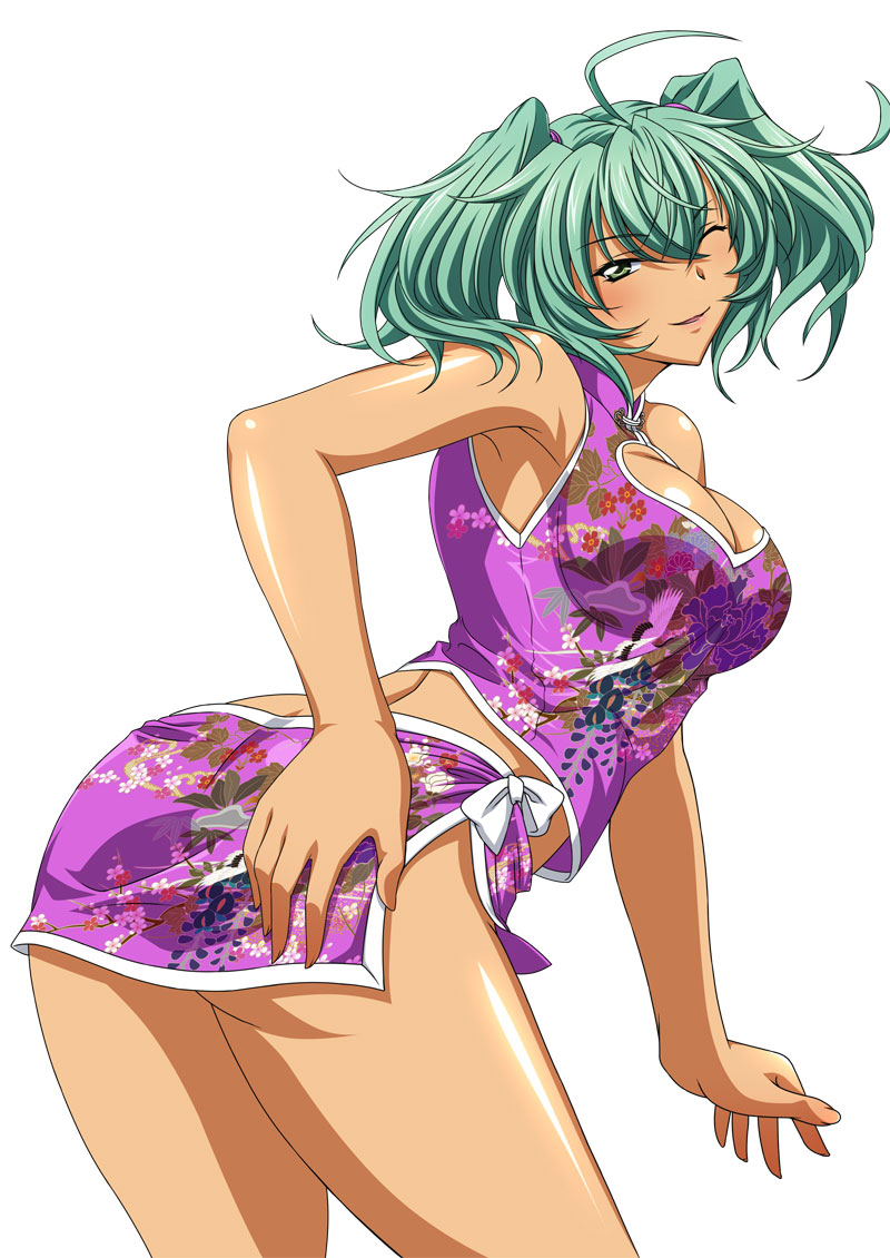 ikkitousen ryofu_housen tagme