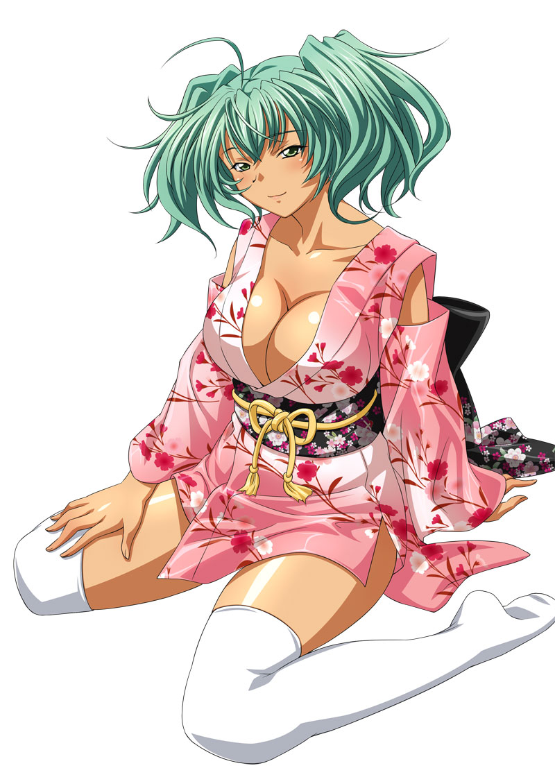 ikkitousen ryofu_housen tagme