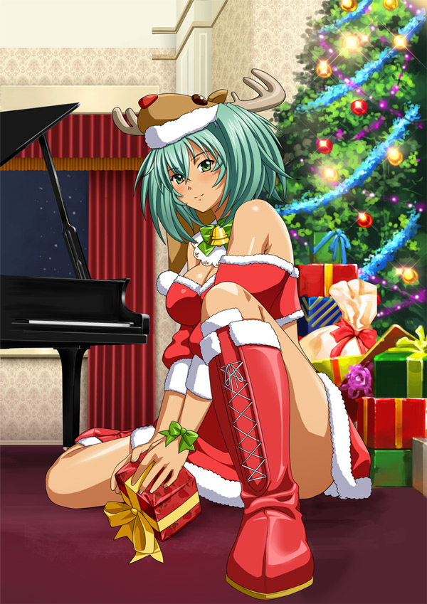 ikkitousen ryofu_housen tagme